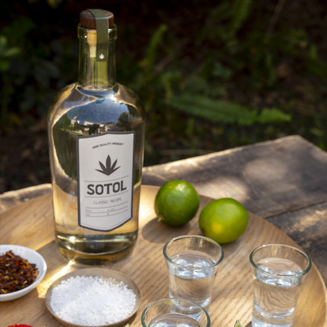 National Tequila Day Shots Worth Serving in a Skull Glass
